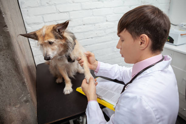 Neurological Examination
