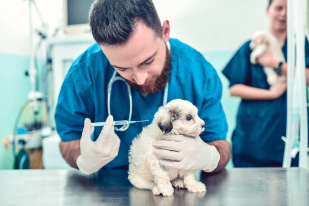 Vaccination
